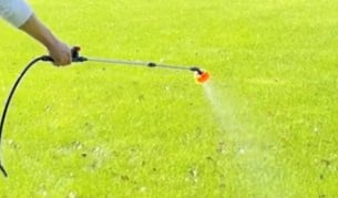 Weed control application process