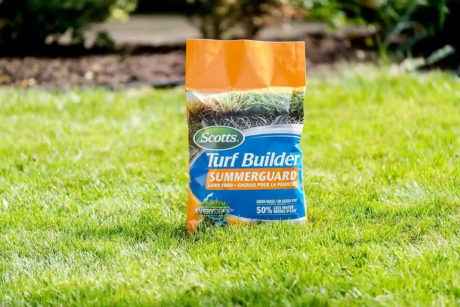 Summer lawn fertilization