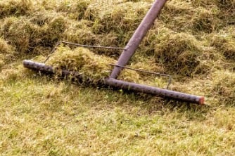 power raking - Debris Cleanup & Removal